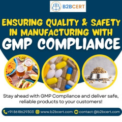 GMP Certification in Egypt